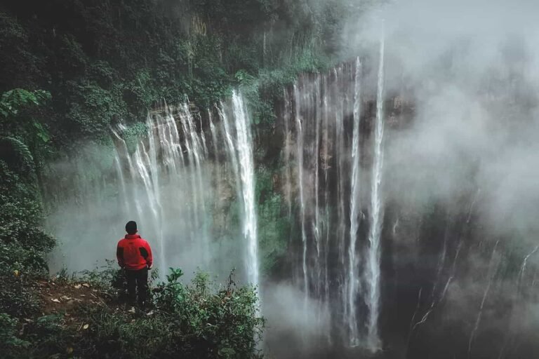 iswanto arif fwcuzqxcrus unsplash